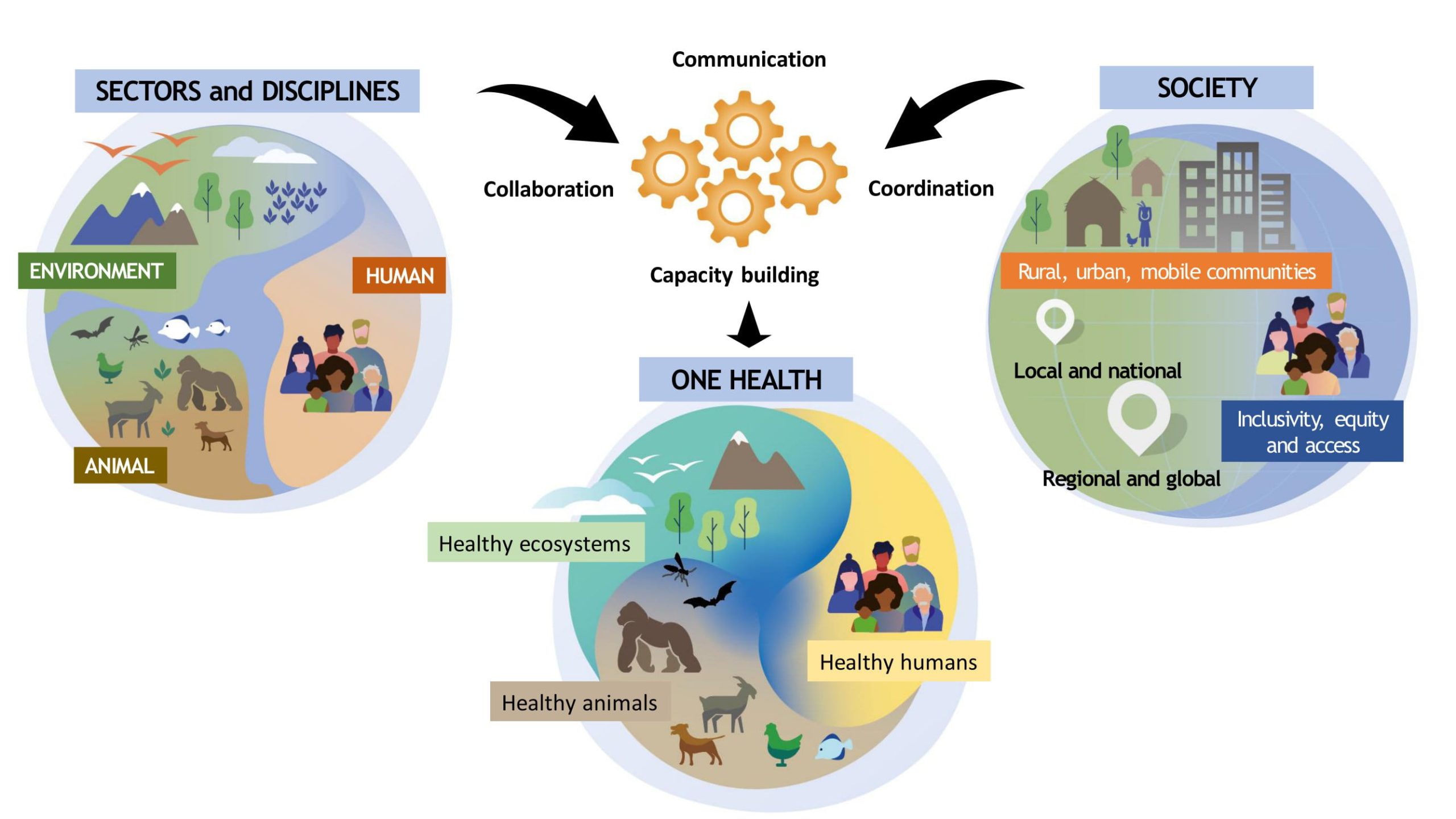 One health definition: WHO